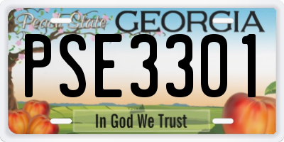 GA license plate PSE3301