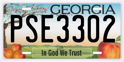 GA license plate PSE3302