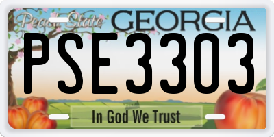 GA license plate PSE3303