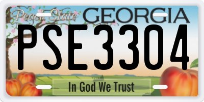 GA license plate PSE3304