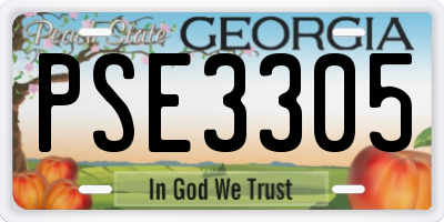 GA license plate PSE3305