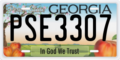 GA license plate PSE3307