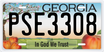 GA license plate PSE3308