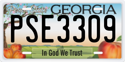 GA license plate PSE3309