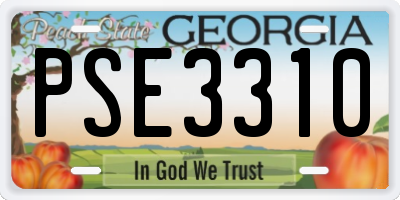 GA license plate PSE3310
