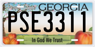 GA license plate PSE3311