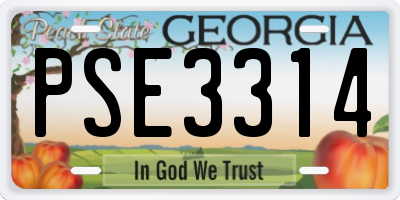 GA license plate PSE3314