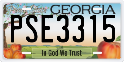GA license plate PSE3315