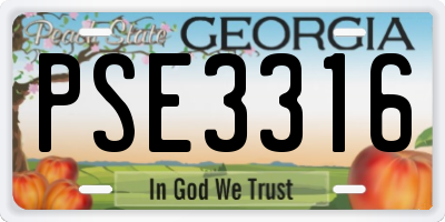 GA license plate PSE3316