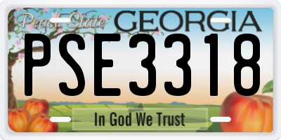 GA license plate PSE3318