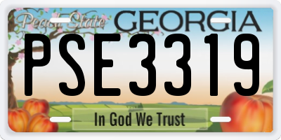 GA license plate PSE3319