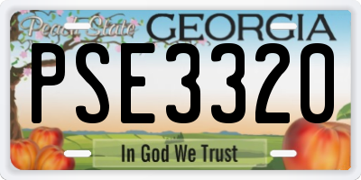 GA license plate PSE3320