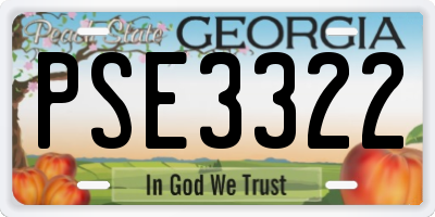 GA license plate PSE3322