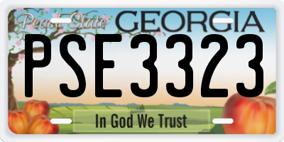 GA license plate PSE3323