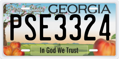 GA license plate PSE3324