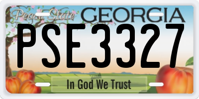 GA license plate PSE3327