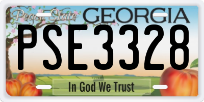 GA license plate PSE3328