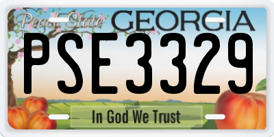 GA license plate PSE3329