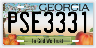 GA license plate PSE3331