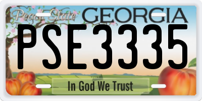 GA license plate PSE3335