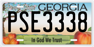 GA license plate PSE3338