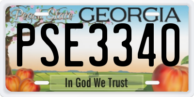 GA license plate PSE3340