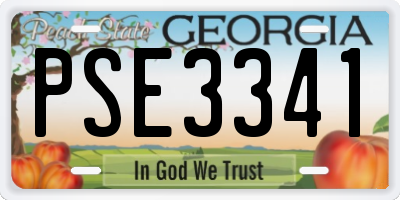 GA license plate PSE3341