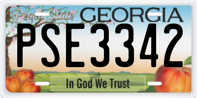 GA license plate PSE3342