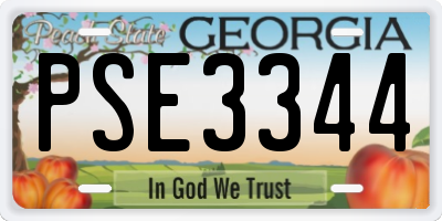 GA license plate PSE3344