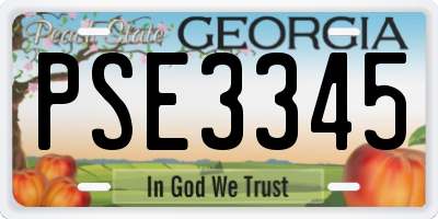GA license plate PSE3345