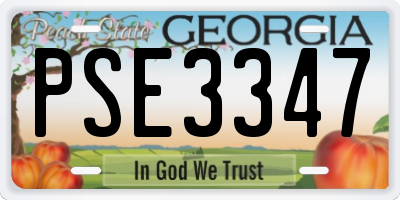 GA license plate PSE3347