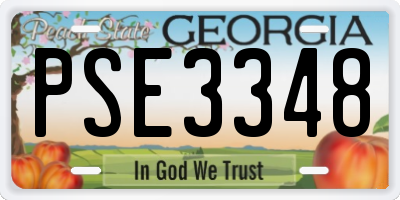 GA license plate PSE3348