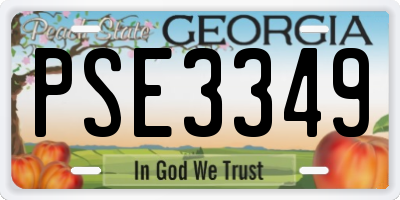 GA license plate PSE3349
