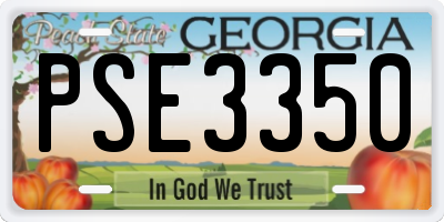 GA license plate PSE3350