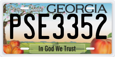 GA license plate PSE3352