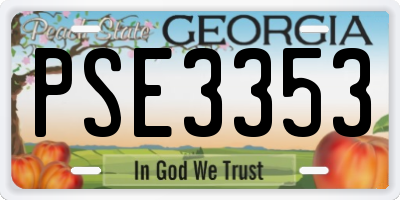 GA license plate PSE3353