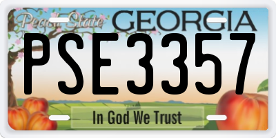 GA license plate PSE3357
