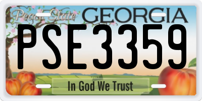 GA license plate PSE3359