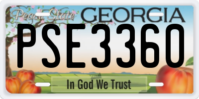GA license plate PSE3360