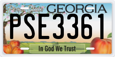 GA license plate PSE3361