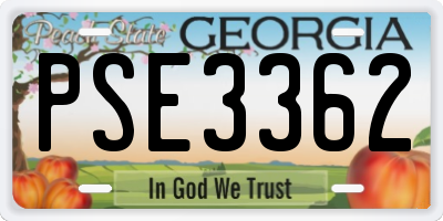 GA license plate PSE3362