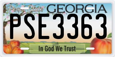 GA license plate PSE3363