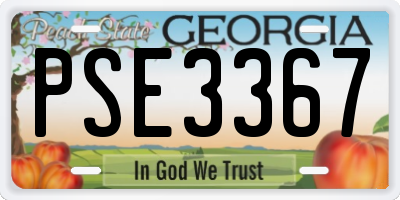 GA license plate PSE3367