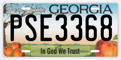 GA license plate PSE3368