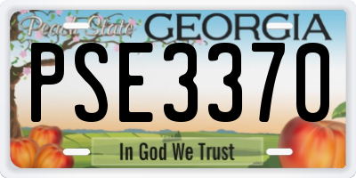 GA license plate PSE3370