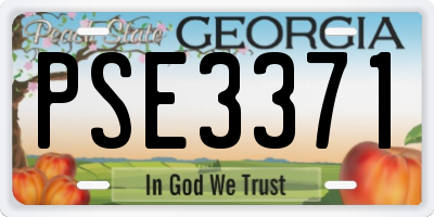 GA license plate PSE3371