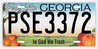GA license plate PSE3372