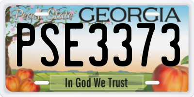GA license plate PSE3373