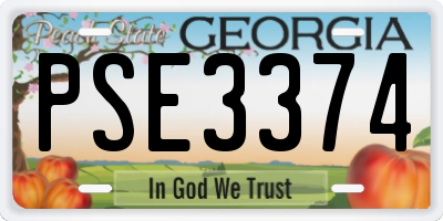 GA license plate PSE3374