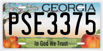 GA license plate PSE3375